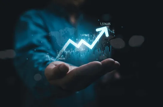 规则与数据说明图示